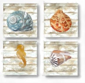 Set of 4 Coasters Sea Shells 2 (Full Color: Varies)