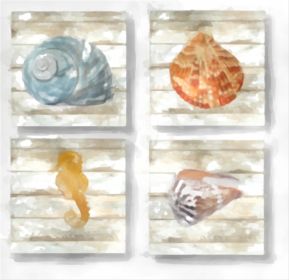 Set of 4 Coasters Sea Shells 3 (Full Color: Varies)