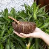 Coconut Bowls & Wooden Spoon Set | Vegan Organic Buddha Bowl for Salad&Smoothie